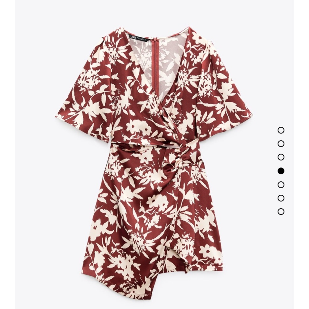 Zara dress